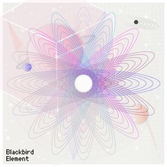 Blackbird - Element