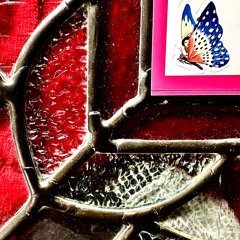 BUTTERFLY 1