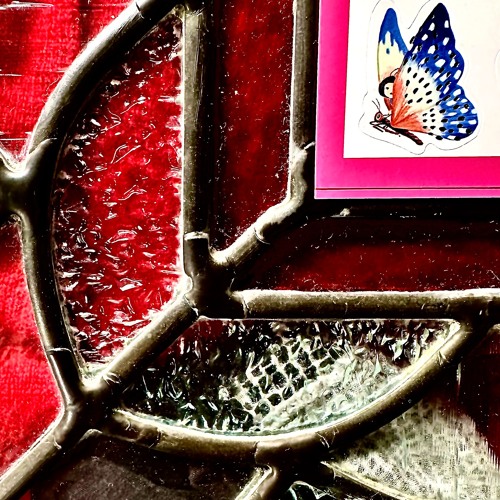 BUTTERFLY 1