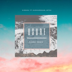 USURE(The plural Remix)