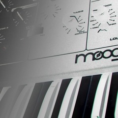 1972 "The Sound of Moog" Moog Promotional Flexi Disc