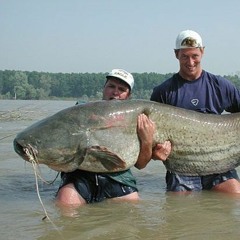 Stick Your Hand In That Hole