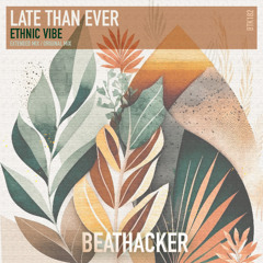 LATE THAN EVER "Ethnic Vibe" (Radio Édit)