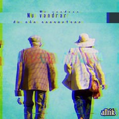 aNtik - Nu Vandrar Du Nån Annanstans (Noelskig Remix)