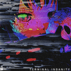 Terminal Insanity [Prod.Echo Alexander]