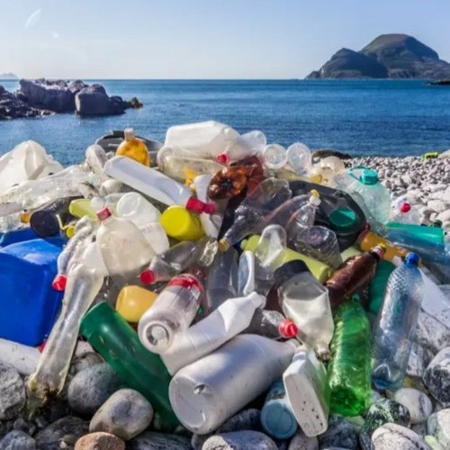 South Africa seeks global treaty on plastic pollution amid competing interests