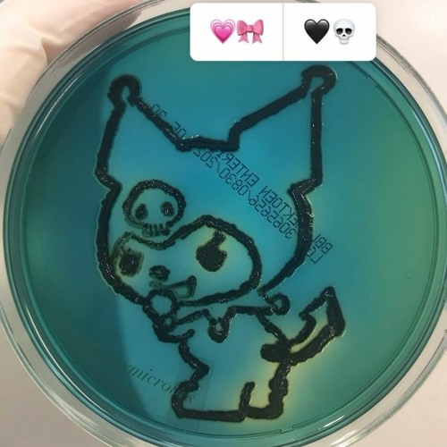 "EXP-174" (Stitches Prototype, march 6 2018)