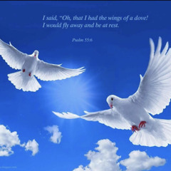 AmariThaDon- R.M.A.A.B