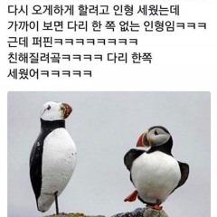 문어의 꿈- 안예은 cover