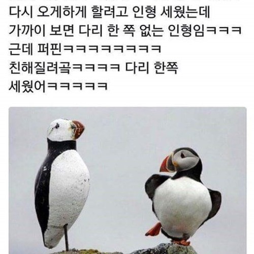 문어의 꿈- 안예은 cover