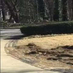 Ju6ix00 (Betances hood vlog) Performance.mp3