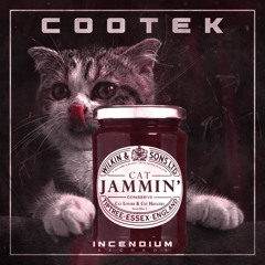 Cootek - Cat Jammin'