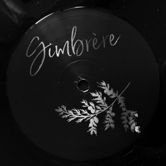 B2. Gimbrère - On My Mind [Clip]