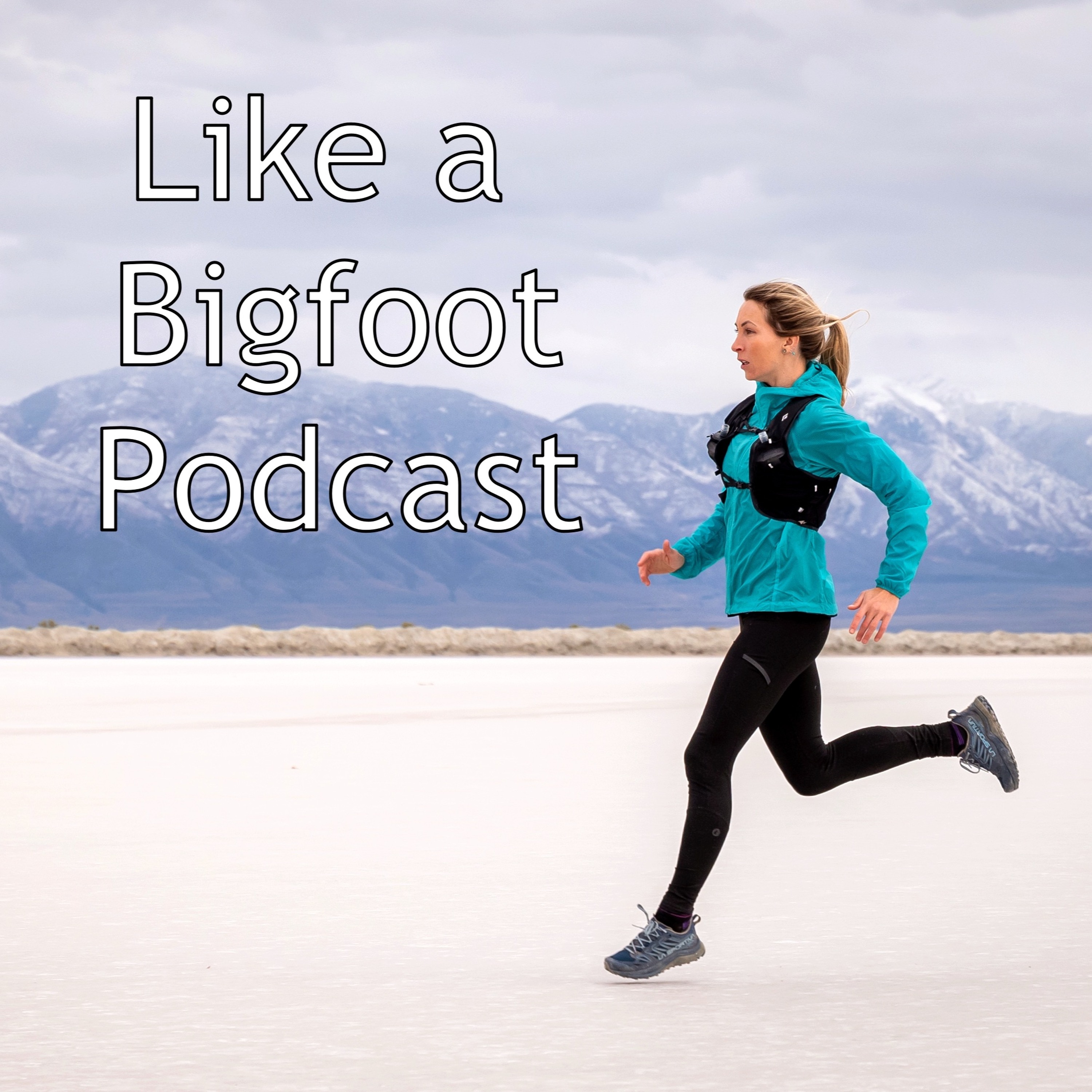 #319: Kelly Halpin -- The Relationship Between Adventure and Art, WURL & Grand Teton Picnic episode artwork