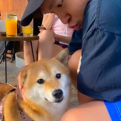 yêu em, thương em