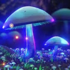 Psytrance Mushroom