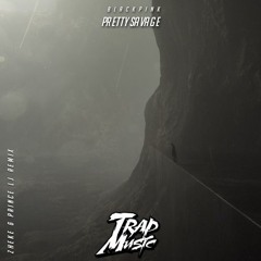 BLACKPINK - Pretty Savage (ZHEKE & Prince LJ Remix)