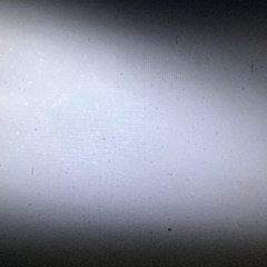 Neutrinos
