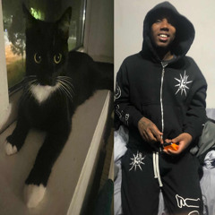 CashJunko - Icy (prod. wegonbeok)