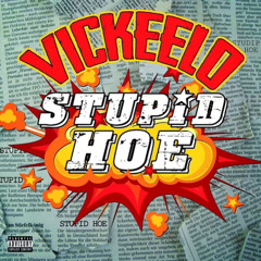 Vickeelo- Stupid Hoe