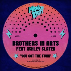 Brothers In Arts Feat Ashley Slater - You Got The Funk (teaser)
