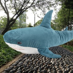 最悲傷的時候我踩著健康步道