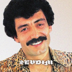 Sevdim