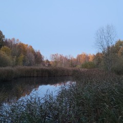 futurum preteriti