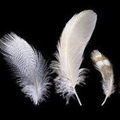 Hope Is The Thing With Feathers by Emily Dickinson