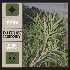 Travis Scott - FEIN (DJ Felipe Lustosa) [FUNK RJ]