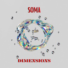 Dimensions: Soma