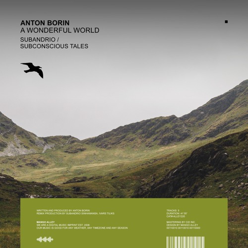 ANTON BORIN A Wonderful World