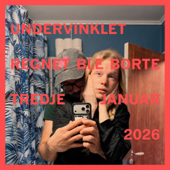 undervinklet - 03012026 (regnet ble borte)