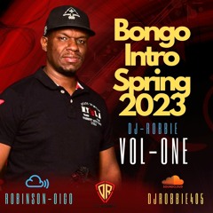 BONGO-INTRO-SPRINGS-2023 VOL-1