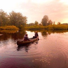 prophet (feat. steinzz)