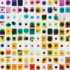 SLS Hyde Beach Club: DANSKE B2b ALESSIA