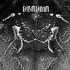 Vervain