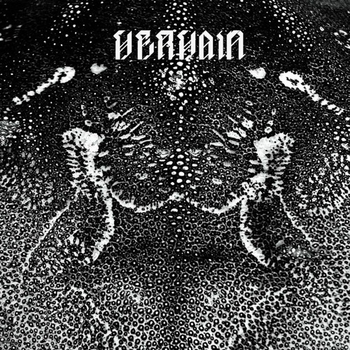 Vervain