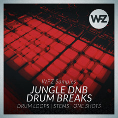 WFZ Samples - Jungle DNB Drum Breaks