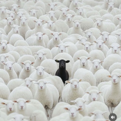 Saliono - 4:29am Freestyle