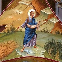 O semeador - Homilia no XV Domingo Comum (2020)