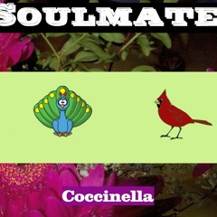 Soulmate   i two in one FREE DOWNLOAD