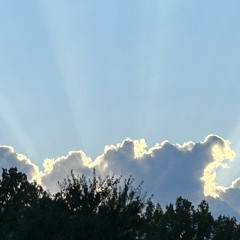 flightless doves improv