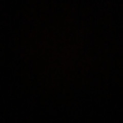 يا ختام الأنبياء | باسم الكربلائي