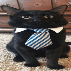 Drown - wait am i mutted?