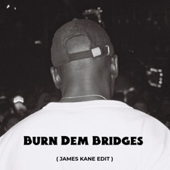 Skin on Skin - Burn Dem Bridges (James Kane Edit) [FREE DL]