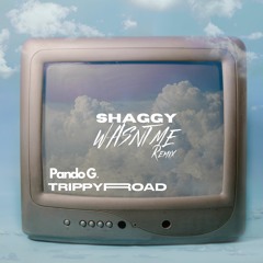 Related tracks: Shaggy - Wasnt Me (Pando G & TrippyRoad) Remix