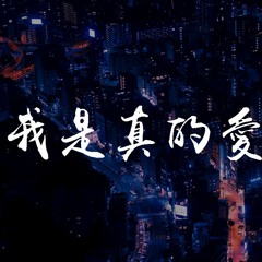 DJR7   我是真的爱上你 DJR7 Remix