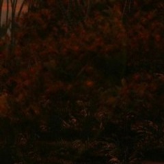 hiddxn - SHEESH ( Prod mathias)