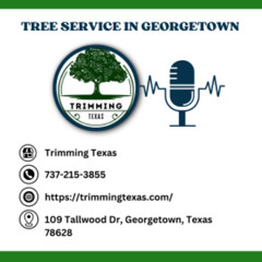 How much does it cost to remove a tree in Georgetown, TX